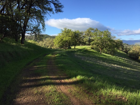 drive to the mesa